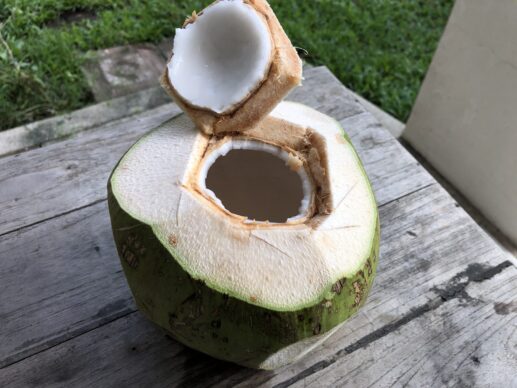 タイ人妻が教えるココナッツの正しい飲み方 タイのフルーツ 南の国のモズモズ