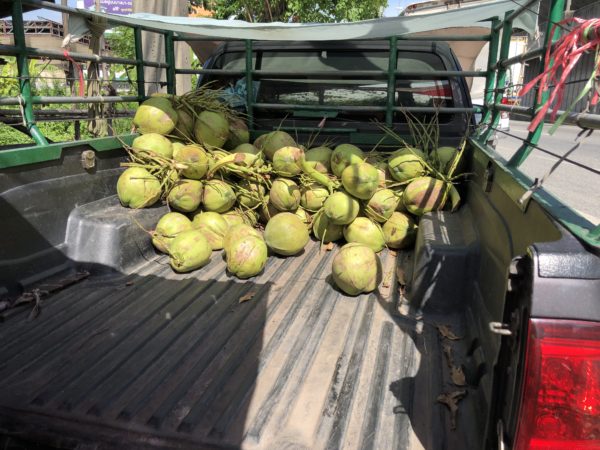 ピックアップトラックの荷台のココナッツ